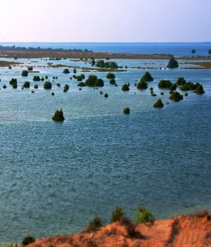 Ajman - Seneyah Island - pic